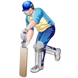 Cricket